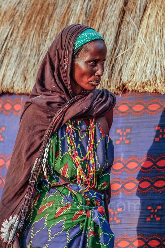 Tribal East Africa: Pastoralists Gabbra