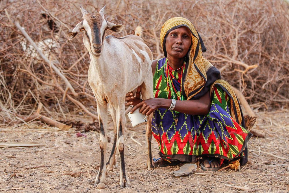 Tribal East Africa: Pastoralists Gabbra