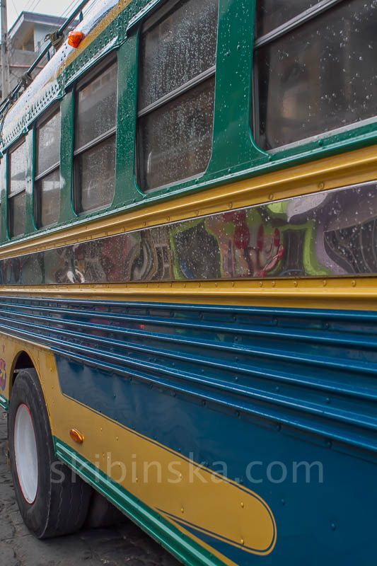 Latin America: Chicken bus frenzy