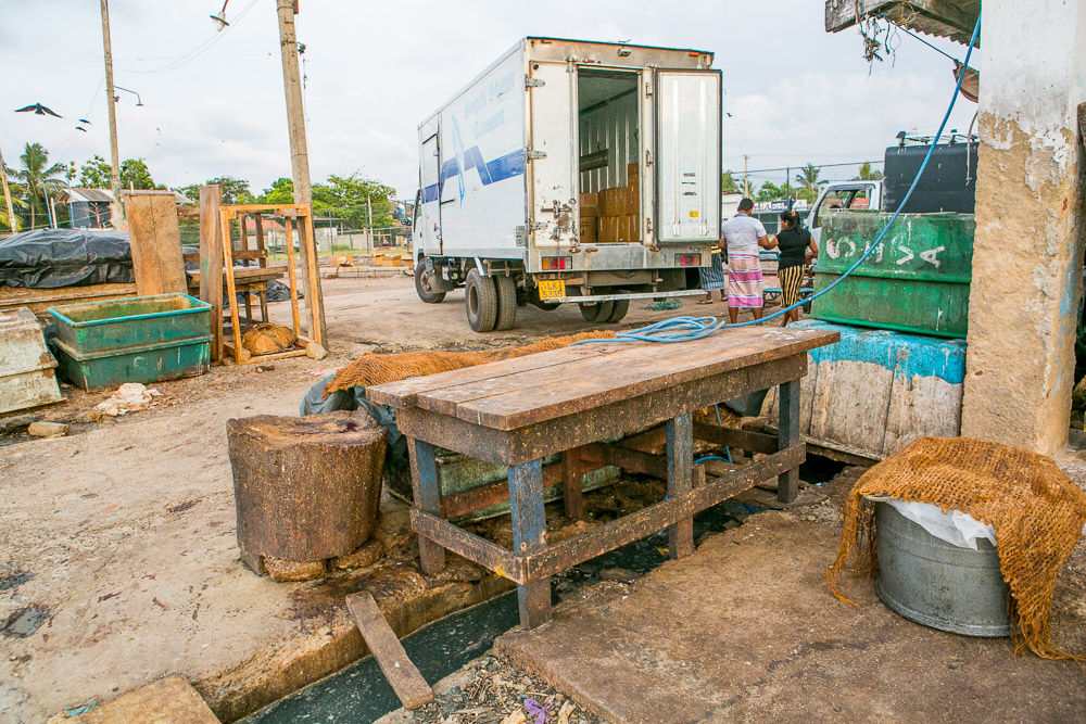 Journeys to Asia: Fishing in Negombo